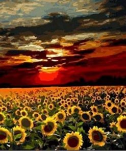 Sunflower Field Paint By Numbers