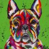 Colorful-French-Bulldog-DIY-Animals-Paint-By-Numbers-PBN-9950.jpg