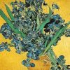 Irises Flower Vincent Van Gogh Paint By Numbers