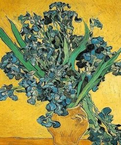 Irises Flower Vincent Van Gogh Paint By Numbers