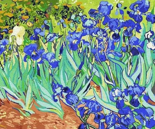 Vincent Van Gogh Irises Paint by numbers