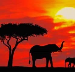 Elephants Silhouette paint by numbers