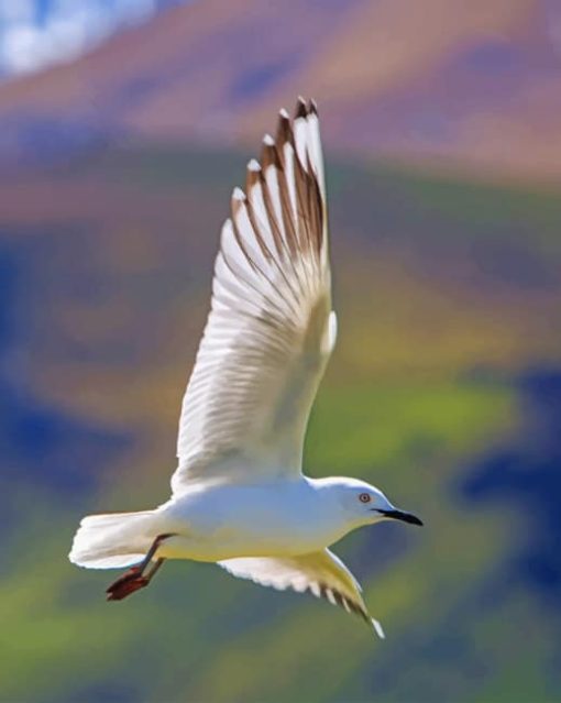 Flying Columbidae paint by numbers