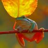 Frog On Stick paint by numbers