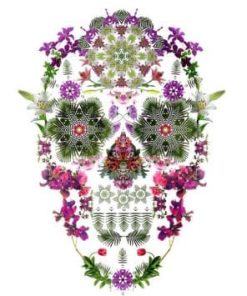 Garden Flowers Skull paint by numbers