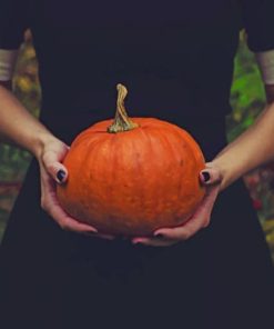 Girl Holding A Pumpkin paint by numbers