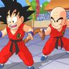 Goku Vs Krillin Paint By Numbers