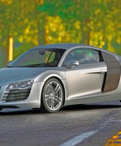 Grey Audi R8 paint by numbers