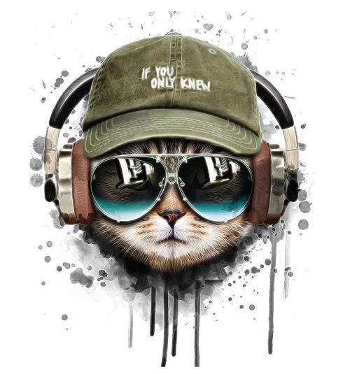 Cat Listening To Music paint by numbers