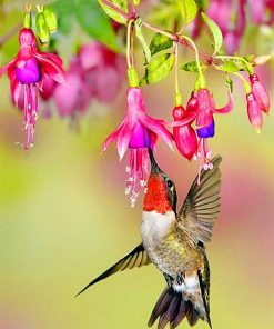 Beautiful Flowers With Hummingbird paint by numbers