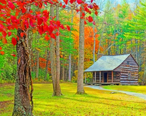 Isolated Wooden Cabin Paint By Numbers