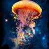 Jellyfish Galaxy paint by numbers