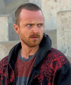 Jesse Pinkman From Breaking Bad paint by numbers