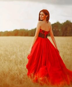 Lady In Red Dress paint by numbers