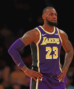 LeBron James LA Lakers paint by numbers