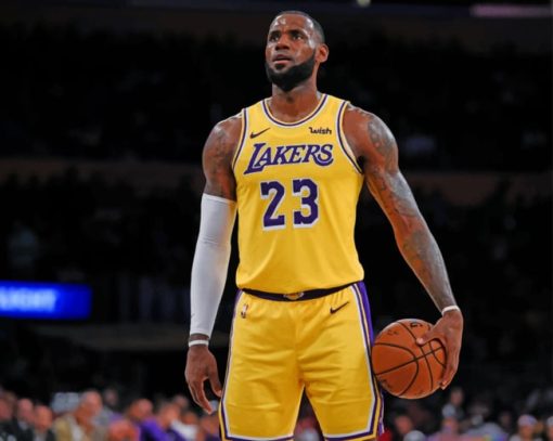 LeBron James Los Angeles Lakers paint by numbers