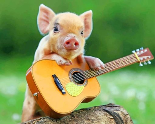 Little Pig With Guitar paint by numbers