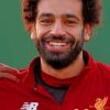 Mohamed Salah paint By Numbers