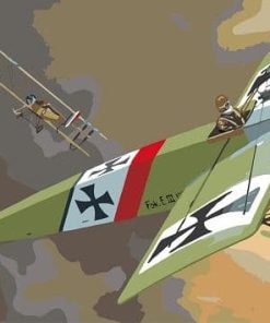 Nazi Airplane paint by numbers