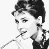 Charming Audrey Hepburn Paint By Numbers