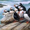 Puffins On Rock Piant by numbers