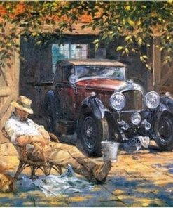 Relax Car Canvas Picture paint by numbers