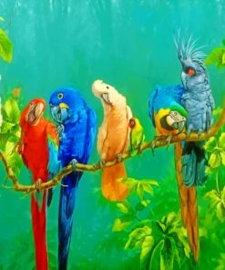 Rainbow Parrots Paint By Numbers