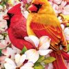 Cardinals Birds Paint by numbers