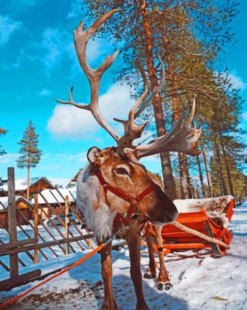 Reindeer In Finland Paint By Numbers