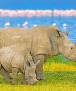 Rhinoceros Paint By Numbers