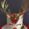 Riendeer-Cake-paint-by-numbers-319x400