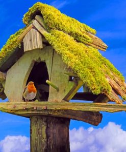 Robin In Moss Aviary Paint By Numbers