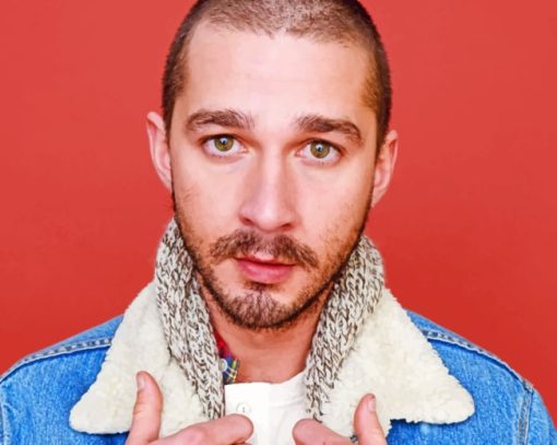 Shia Labeouf Paint By Numbers