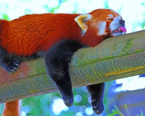 Sleeping Red Panda Lesser paint by numbers