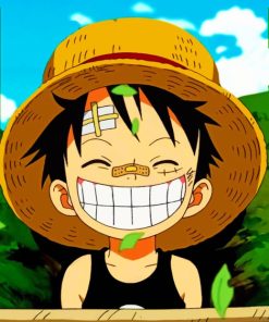 Smiling Monkey Luffy Paint By Numbers