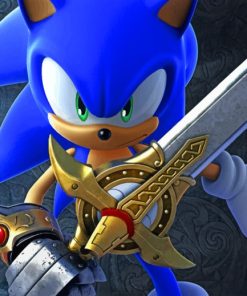 Sonic And The Black Knight paint by numbers