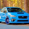 Subaru-Fall-Car Paint By Numbers