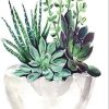 Succulent Pot Paint By Numbers