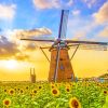 Sunflowers And The Windmill Paint By Numbers