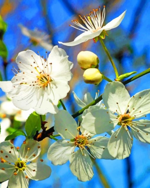 White Cherry blossom Paint By Numbers