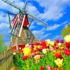 Windmill Among Flowers Paint By Numbers