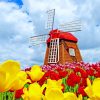 Windmill And Colorful Flowers Paint By Numbers