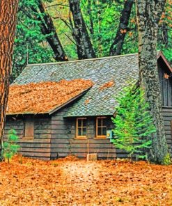 Wooden House Paint By Numbers