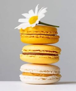 Yellow-Macarons-adult-paint-by-numbers-320x400