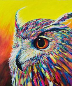 owl paint by numbers