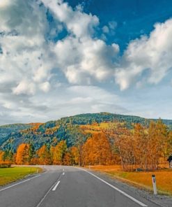 Autumn Road In Austria paint by numbers