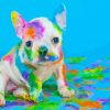 pgmenet colorful dog paint by numbers