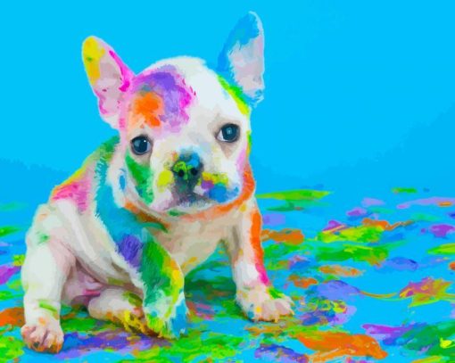 pgmenet colorful dog paint by numbers