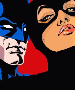 Batman And Bat woman Paint By Numbers