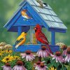 Birds In Tiny Wooden House paint by numbers